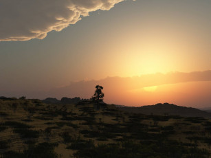 Картинка 3д графика nature landscape природа облака закат дерево