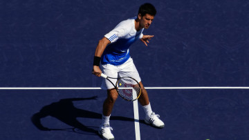 Картинка спорт теннис novak djokovic