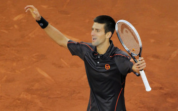 Картинка спорт теннис novak djokovic