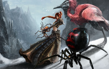 Картинка guild wars видео игры арт птица пауки