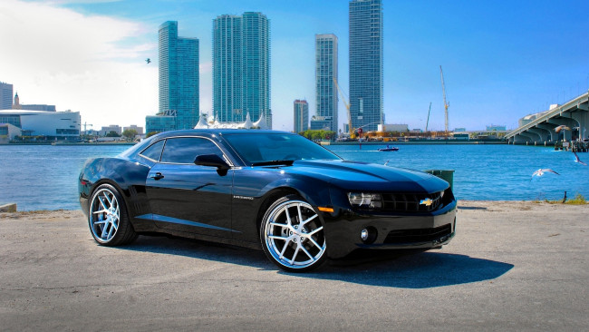 Обои картинки фото camaro, автомобили, chevrolet