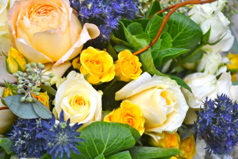 Картинка цветы букеты +композиции букет розы