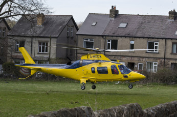 Картинка авиация вертолёты посадка вертушка поляна усадьба