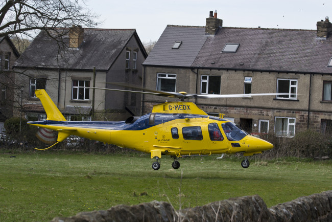 Обои картинки фото авиация, вертолёты, посадка, вертушка, поляна, усадьба