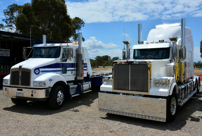 Обои картинки фото автомобили, грузовики, тягачи, тяжелые