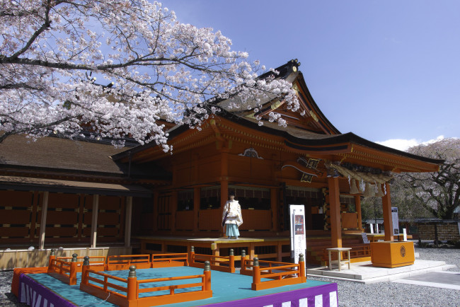 Обои картинки фото города, - буддийские и другие храмы, takaten, деревья, дом, весна