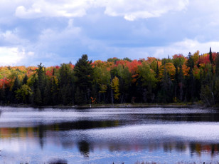 Картинка природа реки озера осень река деревья