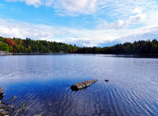 Картинка природа реки озера лес осень вода