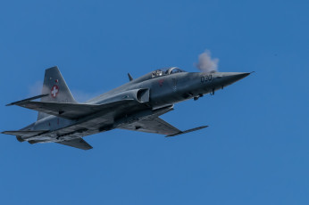 Картинка f5+tiger авиация боевые+самолёты истреьитель