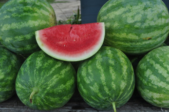 Картинка еда арбуз ягоды