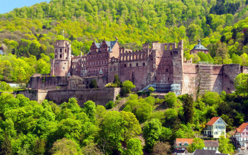 Картинка heidelberg+castle города замки+германии heidelberg castle