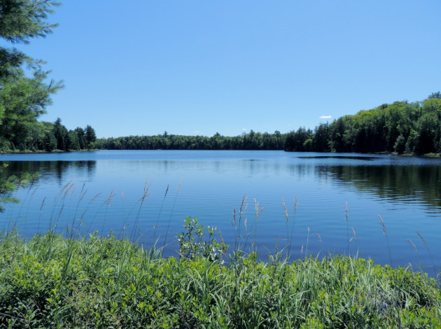 Обои картинки фото природа, реки, озера, вода, гладь, лето