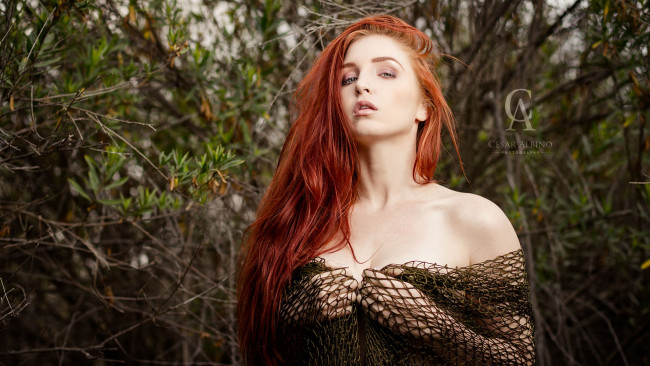 Обои картинки фото eleana jovic, девушки, -unsort , рыжеволосые и другие, eleana, jovic, рыжая, сеть, ветки, кусты