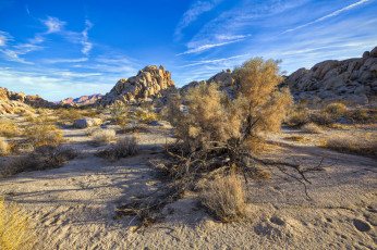 Картинка природа пустыни простор