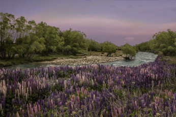 Картинка природа реки озера простор