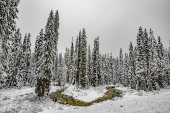 Картинка природа зима простор