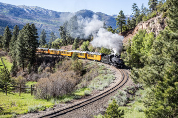 Картинка техника паровозы локомотив состав