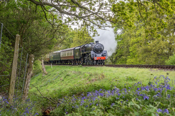 Картинка техника паровозы локомотив состав