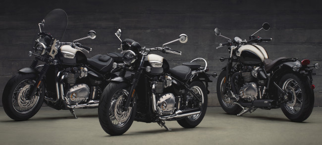 Обои картинки фото мотоциклы, triumph