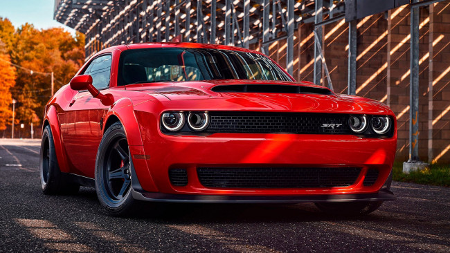 Обои картинки фото автомобили, dodge, challenger, srt8