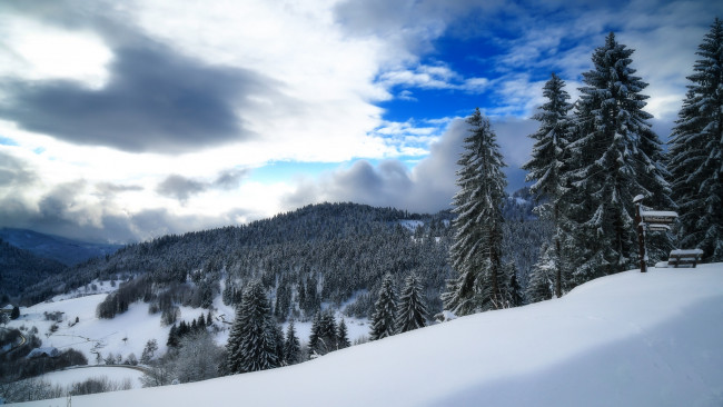 Обои картинки фото природа, зима, простор