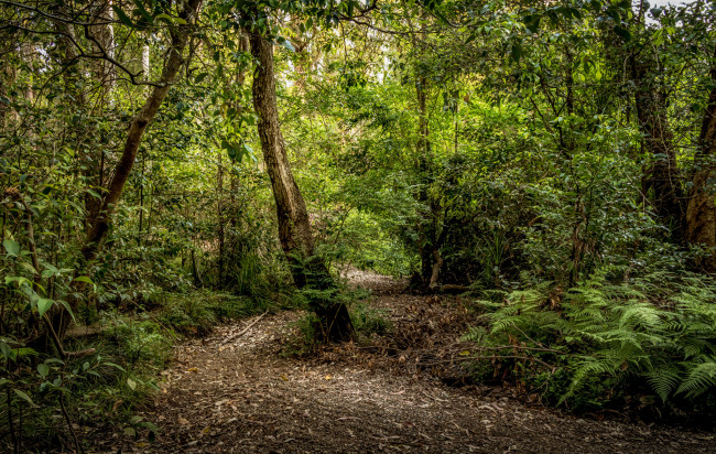 Обои картинки фото природа, дороги, простор