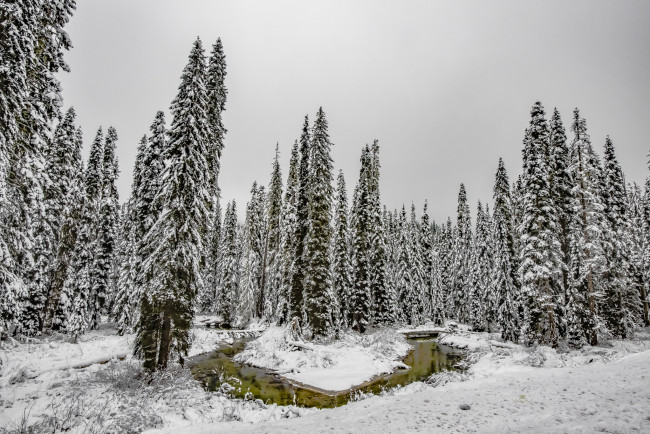 Обои картинки фото природа, зима, простор