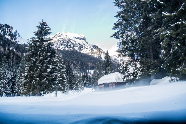 Обои картинки фото природа, зима, простор