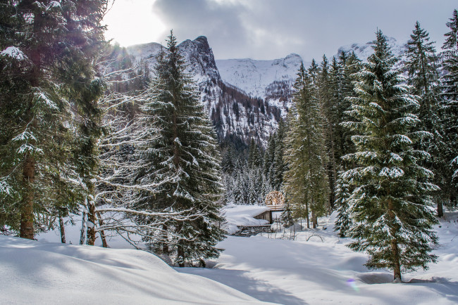 Обои картинки фото природа, зима, простор