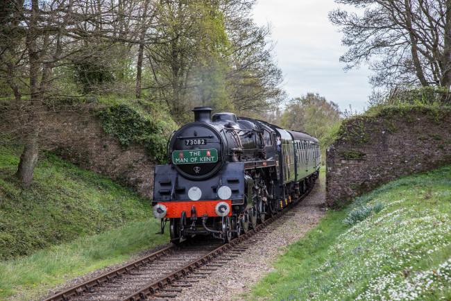 Обои картинки фото техника, паровозы, состав, локомотив