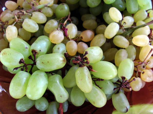 Обои картинки фото еда, виноград