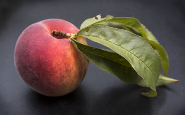 Картинка еда персики +сливы +абрикосы персик макро