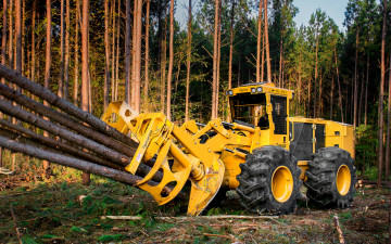 Картинка техника лесоповалочная+техника tigercat