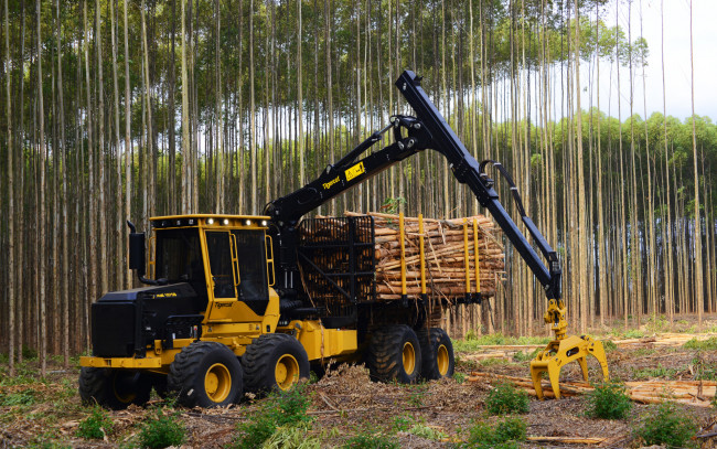 Обои картинки фото техника, лесоповалочная техника, tigercat