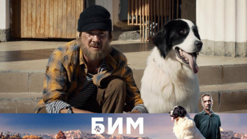 Картинка бим+ сериал+2021+–+ кино+фильмы сериал бим денис никифоров комедия криминал макар климов фoрвард