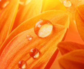 обоя разное, капли,  брызги,  всплески