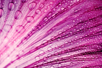 обоя разное, капли,  брызги,  всплески