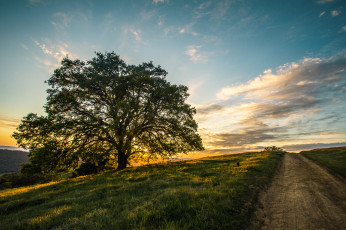 Картинка природа дороги тракт