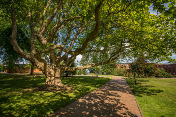 Картинка природа дороги тракт