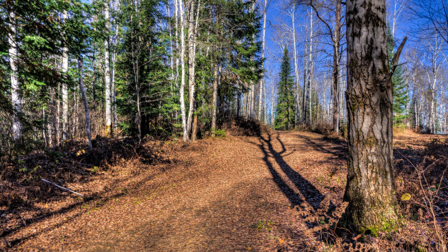 Обои картинки фото природа, дороги, тракт