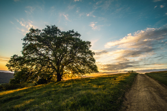 Обои картинки фото природа, дороги, тракт