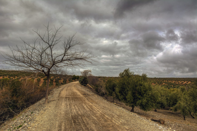 Обои картинки фото природа, дороги, тракт