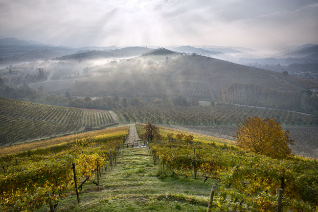 Обои картинки фото природа, дороги, тракт