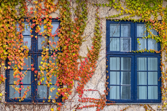 Обои картинки фото разное, элементы архитектуры, окна