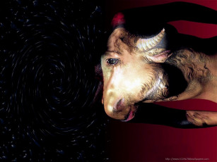 Картинка taurus разное знаки зодиака