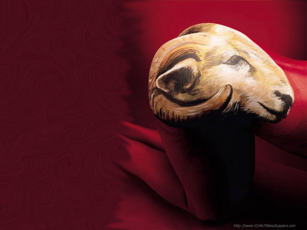 Обои картинки фото aries, разное, знаки, зодиака