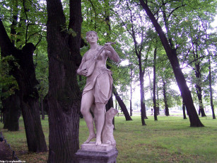 Картинка летний сад питер города санкт петербург петергоф россия