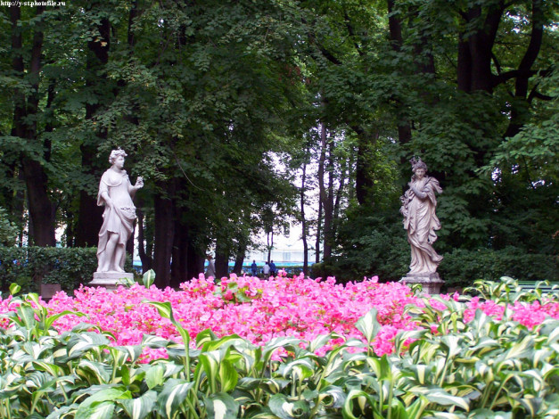 Обои картинки фото летний, сад, питер, города, санкт, петербург, петергоф, россия