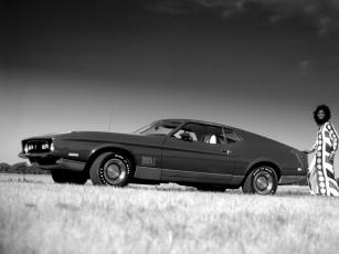 Картинка автомобили ford