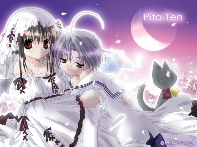 Обои картинки фото аниме, pita, ten
